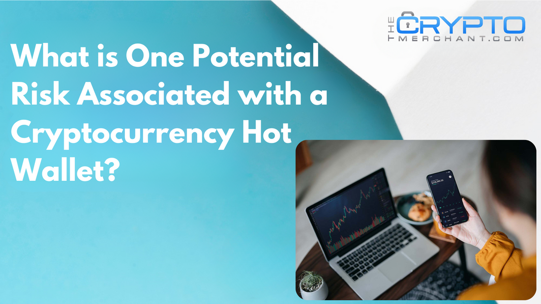 What is One Potential Risk Associated with a Cryptocurrency Hot Wallet?